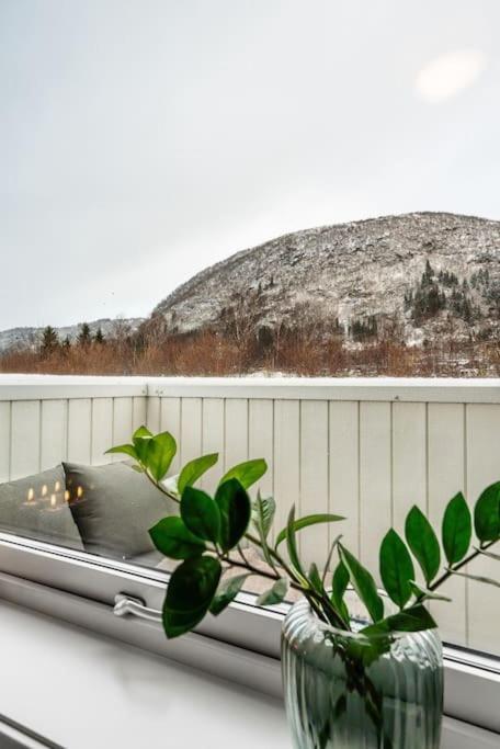 Stor Og Moderne Leilighet I Indre Arna Bergen Gratis Parkering!! エクステリア 写真